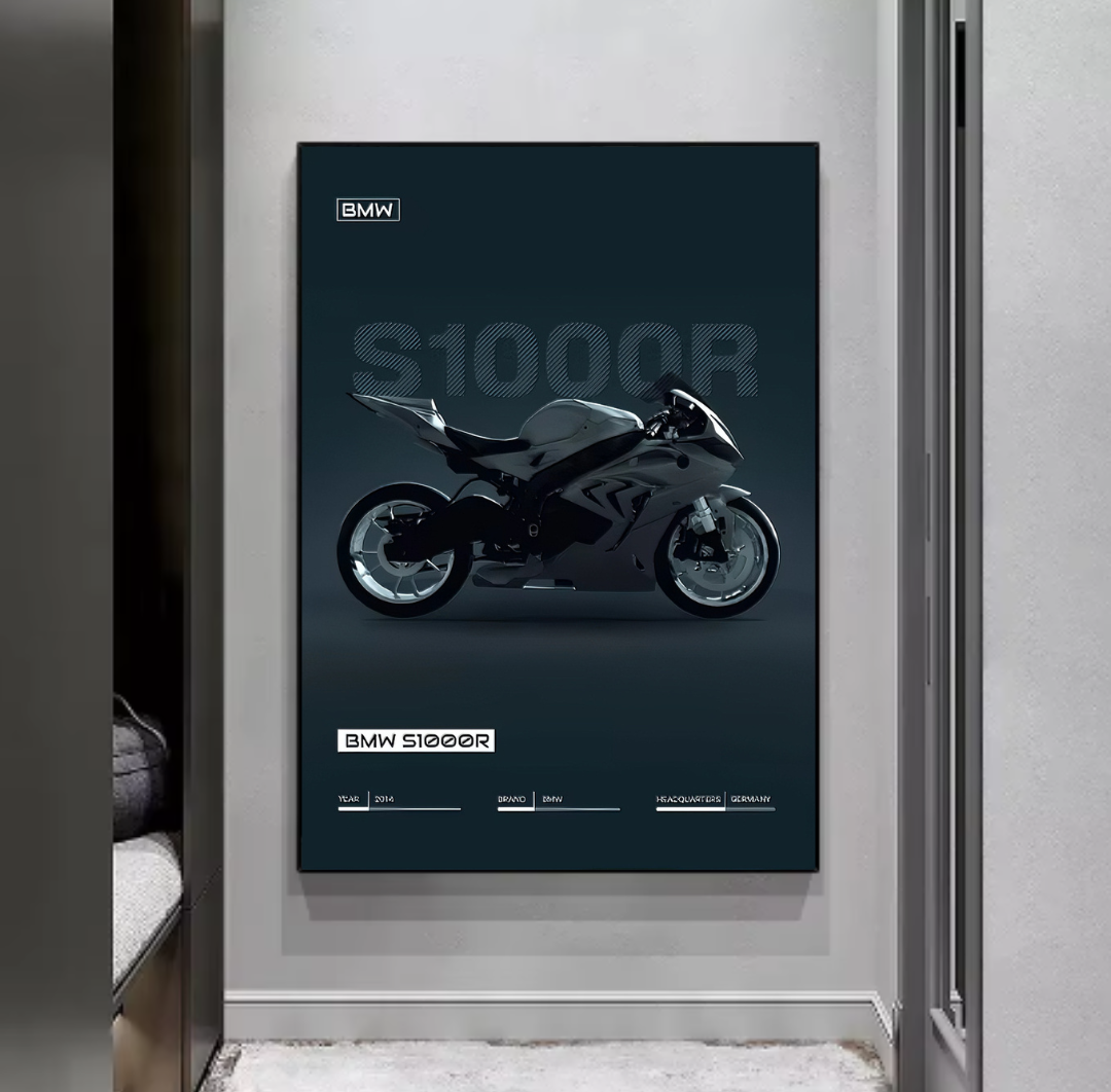 BMW S1000R
